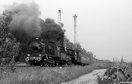 Pociąg specjalny z Wolsztyna do Poznania, prowadzony duetem Ok22-31 i Ol49-81.