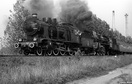 Pociąg specjalny z Wolsztyna do Poznania, prowadzony duetem Ok22-31 i Ol49-81.