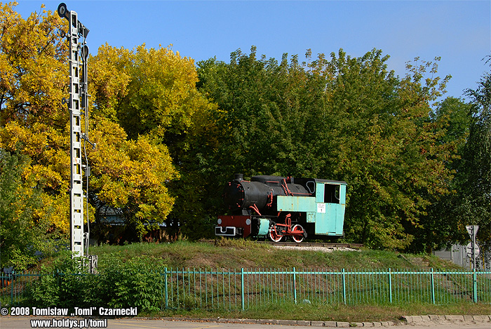 Tłuszcz