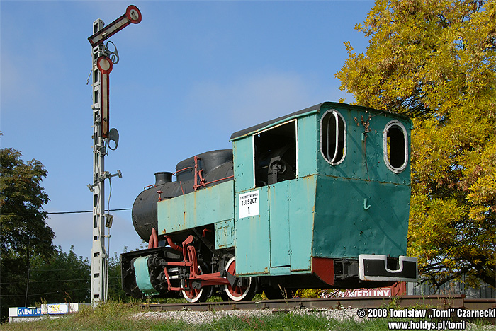 Tłuszcz